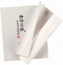 Yasutomo Sumi Painting Paper Rolls