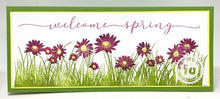 Load image into Gallery viewer, Impression Obsession Rubber Stamps Slim Scenes Meadow Floral Stamp (3246-LG)
