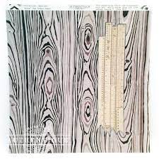 Authentique Paper Nestled Collection 12x12 Scrapbook Paper Targeted (NES004)