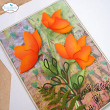 Load image into Gallery viewer, Elizabeth Craft Designs Soft Finish Cardstock 90 LB 25 Sheet Pack (PSF144)
