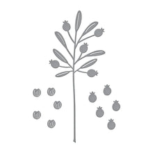 Load image into Gallery viewer, Spellbinders Paper Arts Etched Dies Sealed Berry Sprigs (S3-461)
