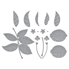 Load image into Gallery viewer, Spellbinders Paper Arts Die Lemon Zest (S4-1173)
