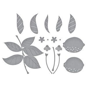 Spellbinders Paper Arts Die Lemon Zest (S4-1173)