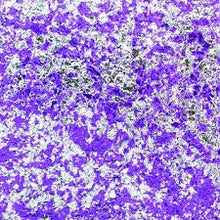Load image into Gallery viewer, Creative Expressions Cosmic Shimmer Aurora Flakes - Frosted Violet (CSAFVIOLET)
