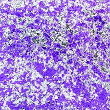 Creative Expressions Cosmic Shimmer Aurora Flakes - Frosted Violet (CSAFVIOLET)