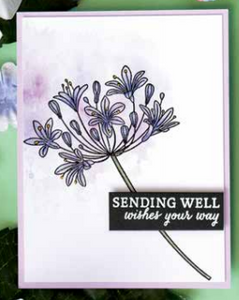 Hero Arts Polyclear Stamps Beautiful Day Agapanthus (CM319)