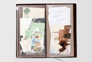 Traveler's Company Traveler's Notebook Zipper Case (14302-006)
