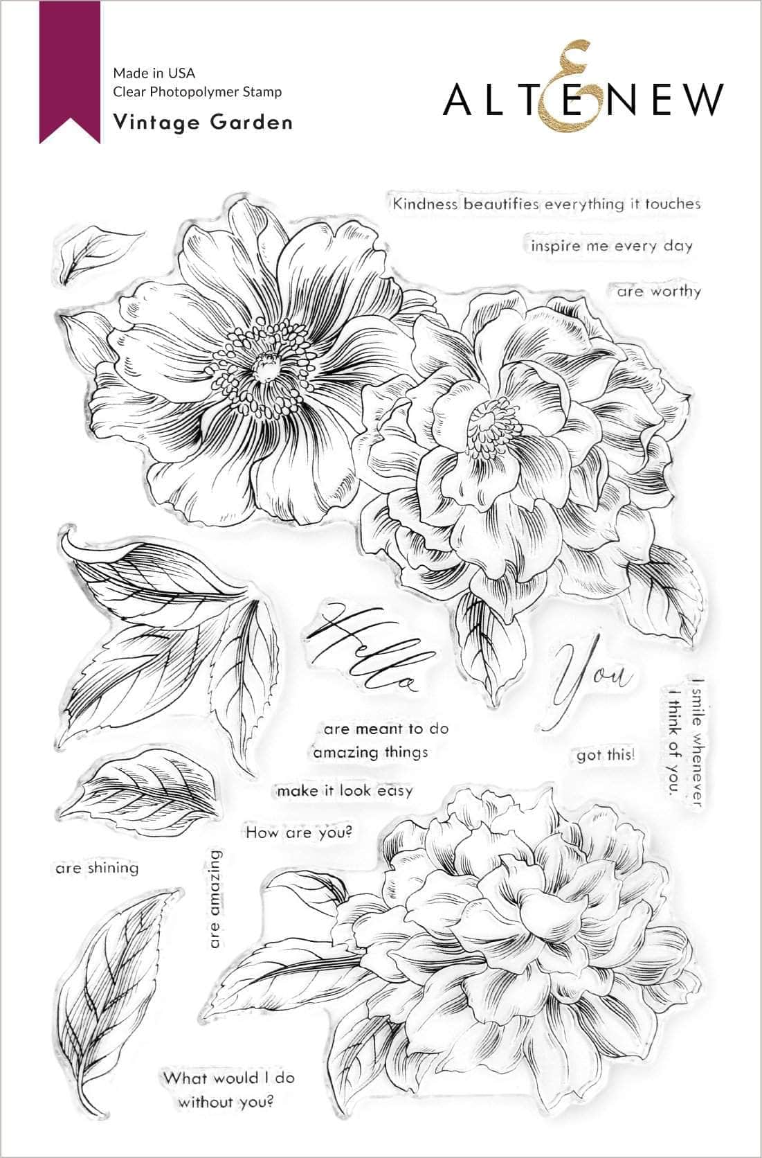 Queen Anemone Flower - Stamp and Die Set