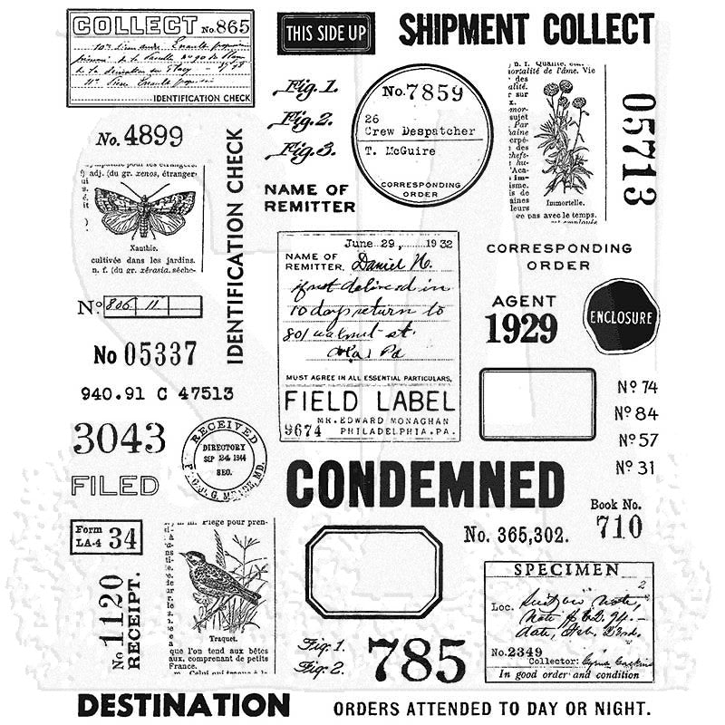 Stampers Anonymous Tim Holtz Collection Cling Stamp Set Field Notes (CMS396)